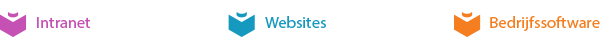 Intranet, websites, bedrijfssoftware